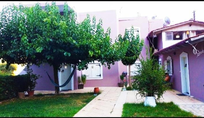 "Villa Kanavos" Apts Μάταλα Εξωτερικό φωτογραφία