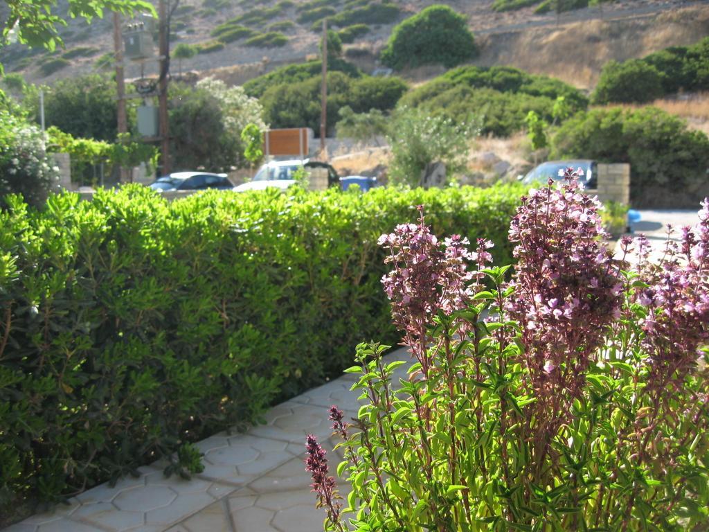 "Villa Kanavos" Apts Μάταλα Δωμάτιο φωτογραφία
